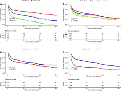 A New Staging System Based on the Dynamic Prognostic Nomogram for Elderly Patients With Primary Gastrointestinal Diffuse Large B-Cell Lymphoma